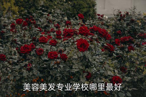 美容去哪个学校好呢,苏州学美容哪个学校比较好？