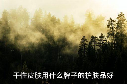 干性皮肤用什么牌子的护肤品好
