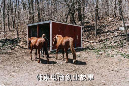  韩束电商创业故事