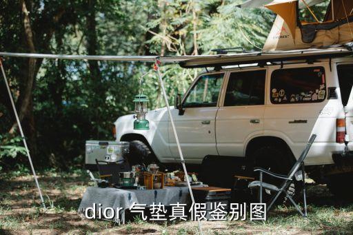 迪奥气垫正品多少