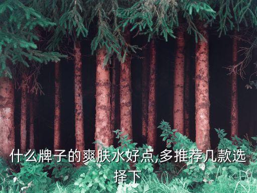 什么牌子的爽肤水好点,多推荐几款选择下