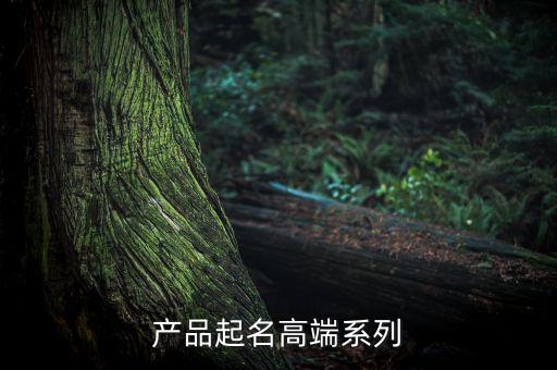 产品起名高端系列