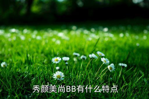  秀颜美尚BB有什么特点