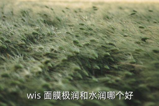 wis抗痘深层保湿面膜怎么样