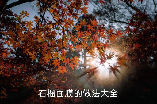 石榴面膜的做法大全