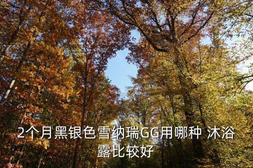 皮皮狗沐浴露怎么样