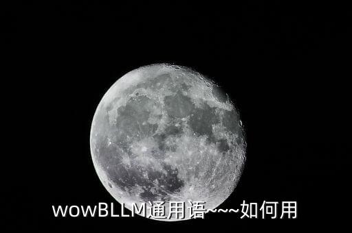 wowBLLM通用语~~~如何用