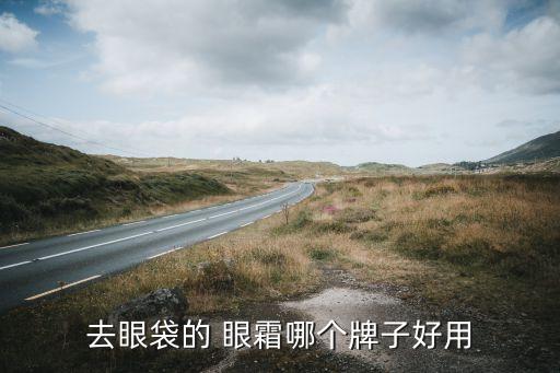 去眼袋的 眼霜哪个牌子好用