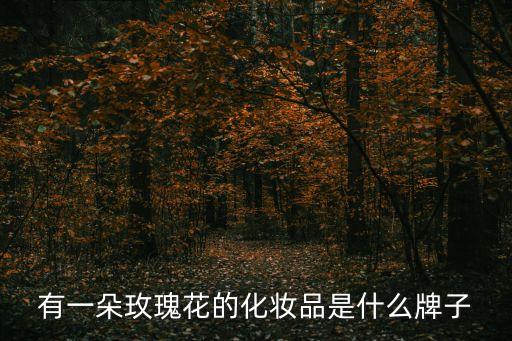 玫瑰化妆品都有哪些,植物性化妆品有哪些?