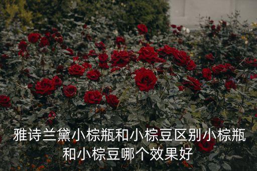  雅诗兰黛小棕瓶和小棕豆区别小棕瓶和小棕豆哪个效果好