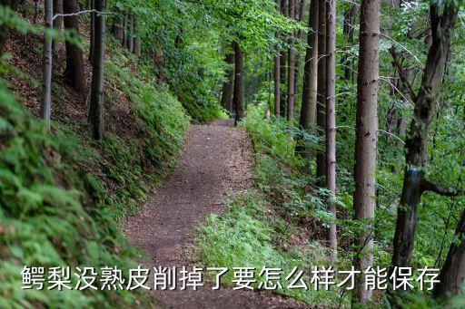 鳄梨没熟皮削掉了要怎么样才能保存