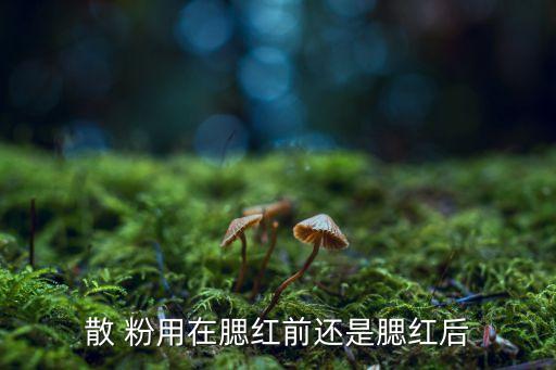 散 粉用在腮红前还是腮红后