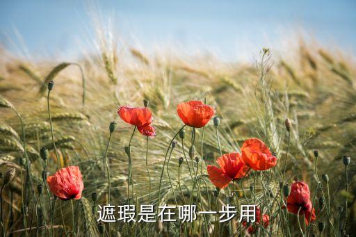 proconceal遮瑕怎么用