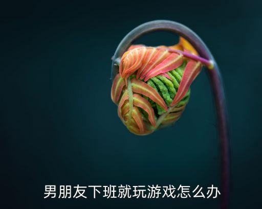  男朋友下班就玩游戏怎么办
