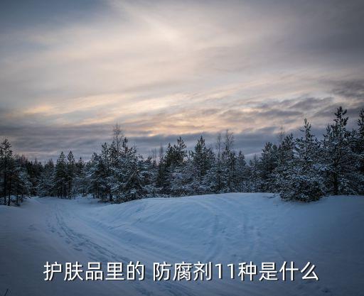 护肤品里的 防腐剂11种是什么