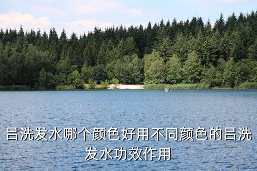 吕洗发水哪个颜色好用不同颜色的吕洗发水功效作用