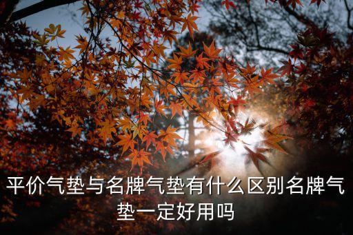 平价气垫与名牌气垫有什么区别名牌气垫一定好用吗