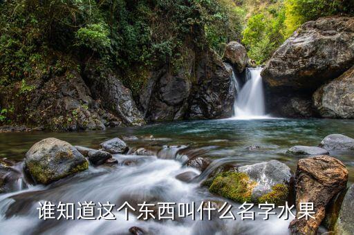 谁知道这个东西叫什么名字水果