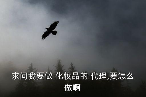 求问我要做 化妆品的 代理,要怎么做啊