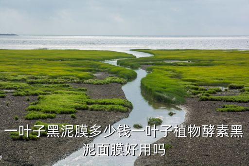 优资莱黑泥面膜怎么样,你敢试吗?资生堂两款面膜效果怎么样