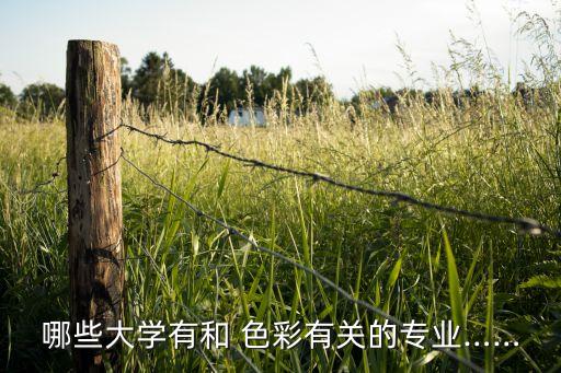 哪些大学有和 色彩有关的专业……