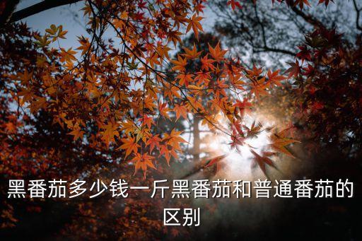 黑番茄多少钱一斤黑番茄和普通番茄的区别