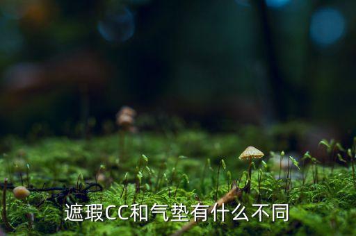遮瑕CC和气垫有什么不同