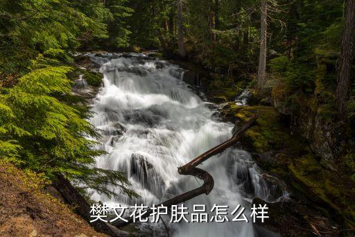  樊文花护肤品怎么样