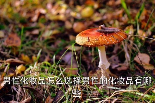 杰威尔男士眼霜怎么样,男士护肤品怎么选择好用又安全?
