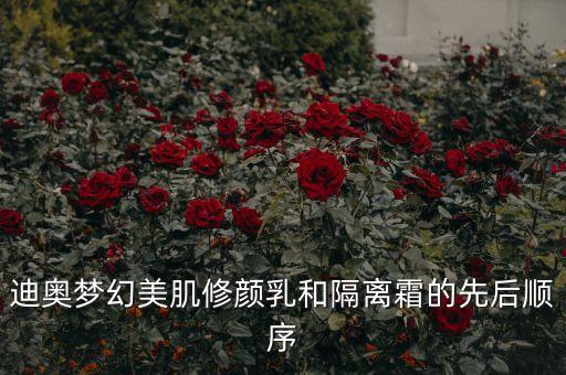 迪奥梦幻美肌修颜乳和隔离霜的先后顺序