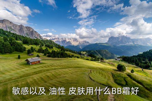 敏感以及 油性 皮肤用什么BB霜好