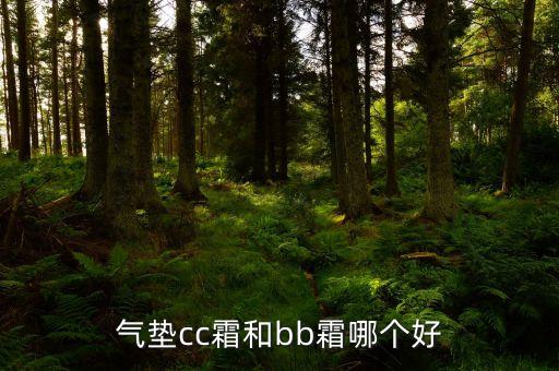 修容气垫bb和气垫有什么区别,气垫霜和粉底液的区别