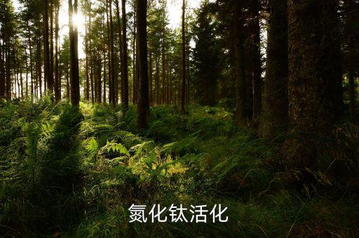 氮化钛活化