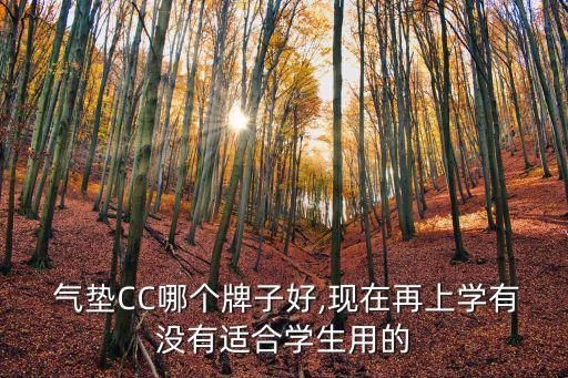  气垫CC哪个牌子好,现在再上学有没有适合学生用的