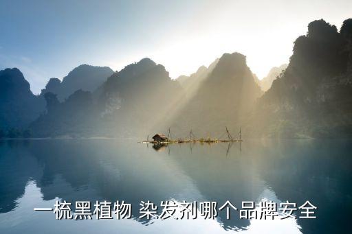 一梳黑植物 染发剂哪个品牌安全