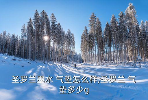 一个气垫大概多少g,一块zoom气垫多少钱