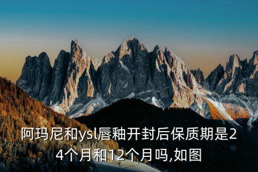 阿玛尼和ysl唇釉开封后保质期是24个月和12个月吗,如图