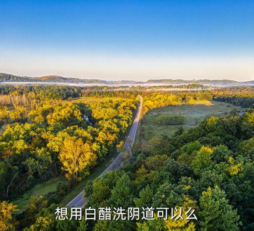 想用白醋洗阴道可以么