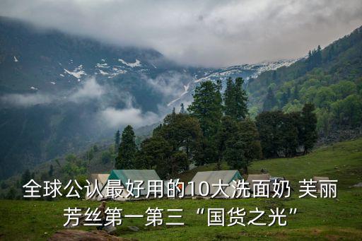 全球公认最好用的10大洗面奶 芙丽芳丝第一第三“国货之光”