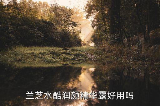爱润颜怎么样,上海润颜化妆品怎么样