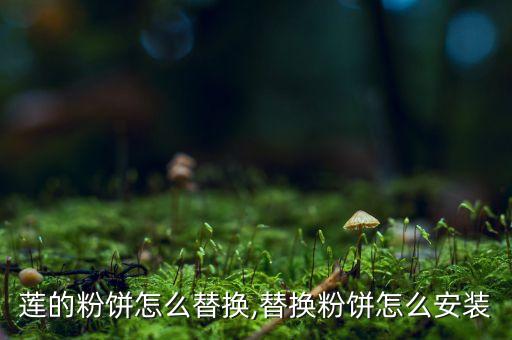 美宝莲的粉饼怎么替换,替换粉饼怎么安装