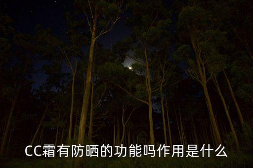 法国花能cc霜多少钱