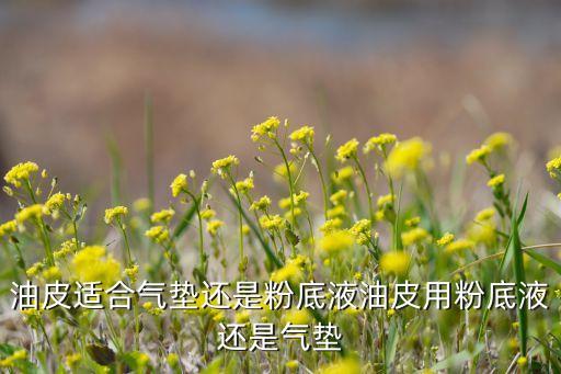 油皮适合气垫还是粉底液油皮用粉底液还是气垫