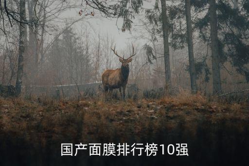 国产面膜排行榜10强
