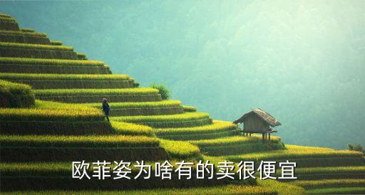  欧菲姿为啥有的卖很便宜