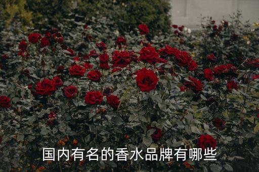 国内有名的香水品牌有哪些