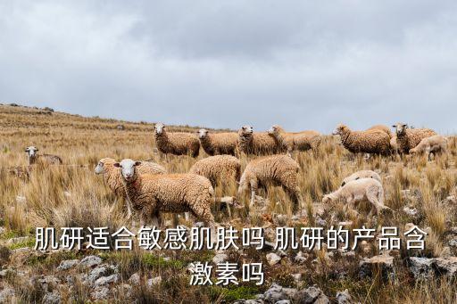 肌研乳液怎么样,肌研极润乳液好用吗