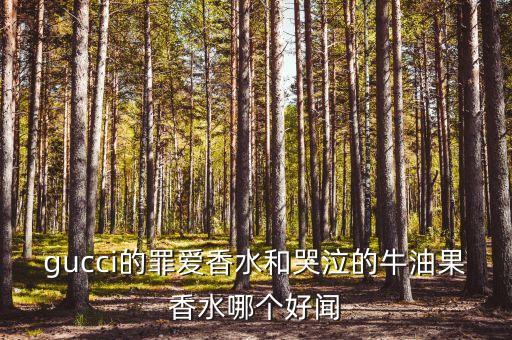 古琦罪爱怎么样,古琦保温杯质量怎么样