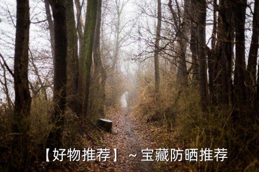 资生堂羽感和至美哪个好