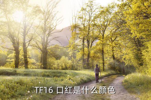 TF16 口红是什么颜色